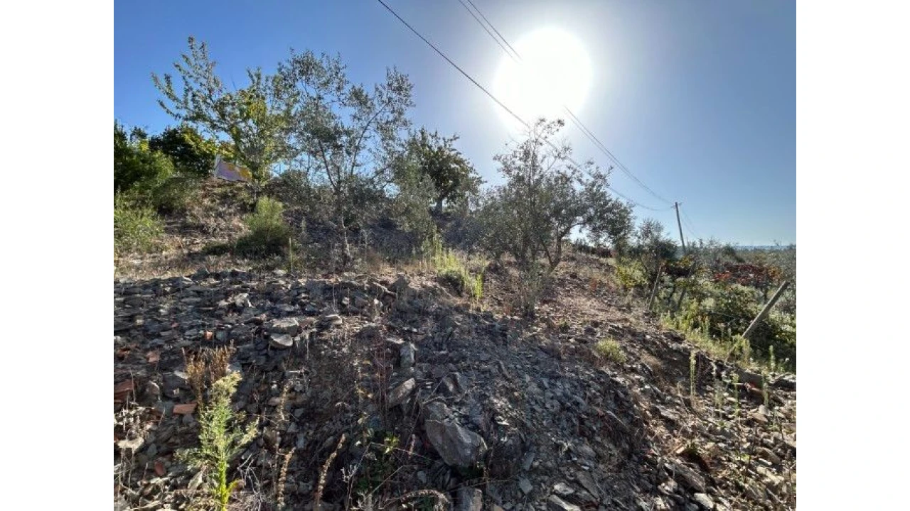 Terreno P/ Moradia para Venda em Amoreira Cimeira Foto 2