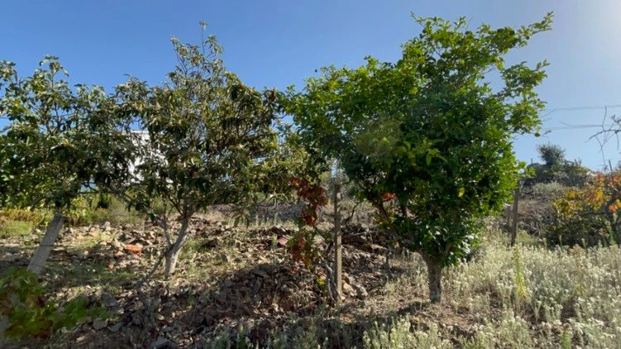 Terreno P/ Moradia para Venda em Amoreira Cimeira Foto 6