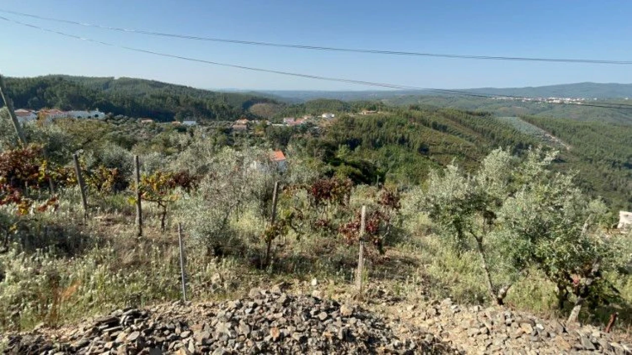 Terreno P/ Moradia para Venda em Amoreira Cimeira Foto 7