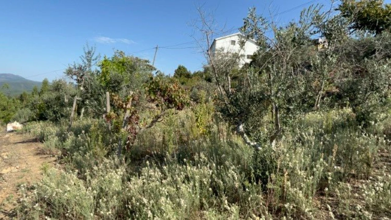 Terreno P/ Moradia para Venda em Amoreira Cimeira Foto 14