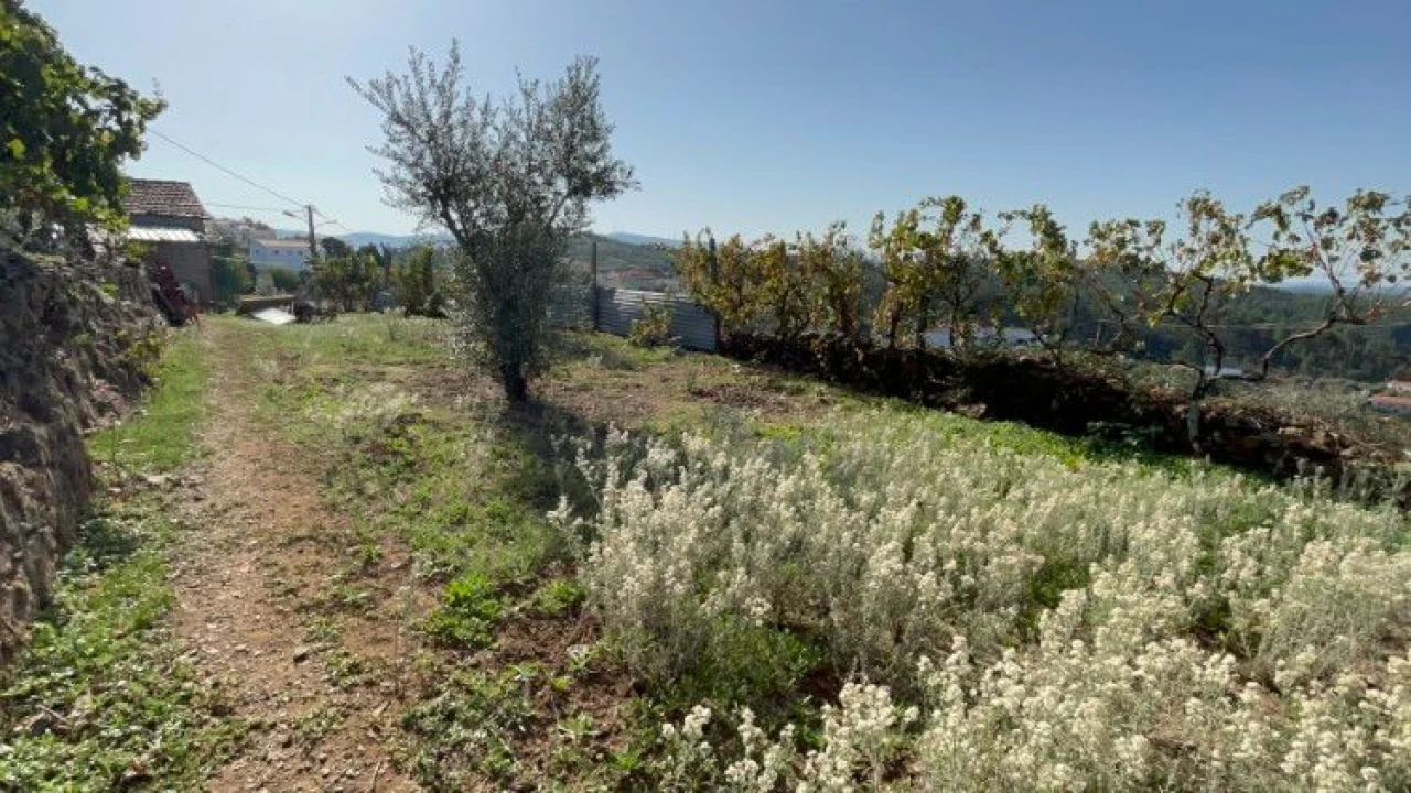 Terreno P/ Moradia para Venda em Amoreira Cimeira Foto 8