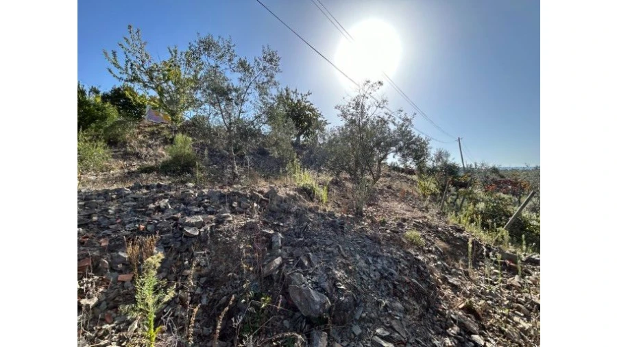 Terreno P/ Moradia para Venda em Amoreira Cimeira Foto 2