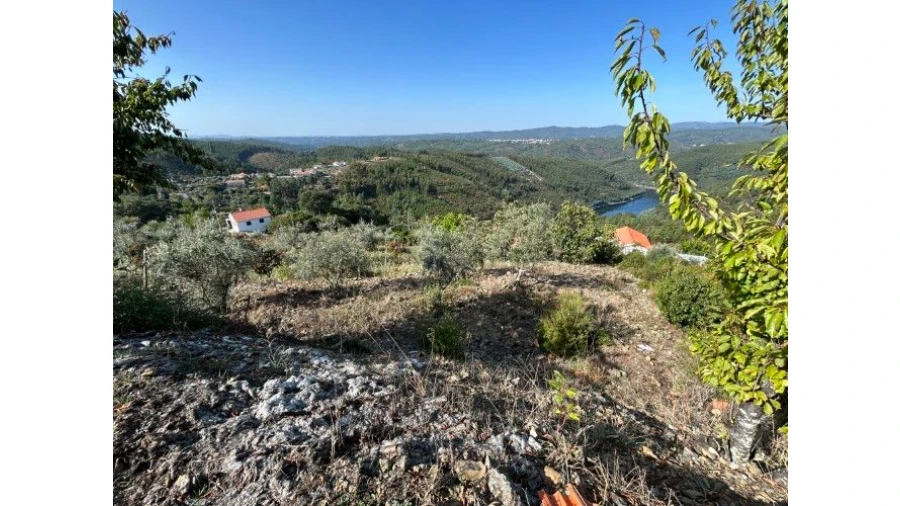 Terreno P/ Moradia para Venda em Amoreira Cimeira Foto 12