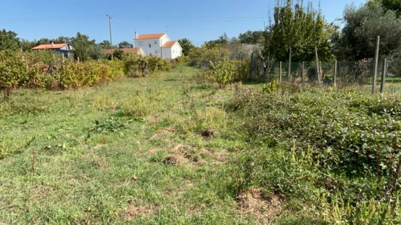Terreno P/ Moradia para Venda em Vila Facaia Foto 13
