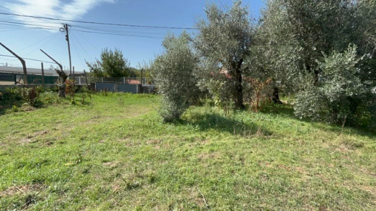 Terreno P/ Moradia para Venda em Vila Facaia Foto 16