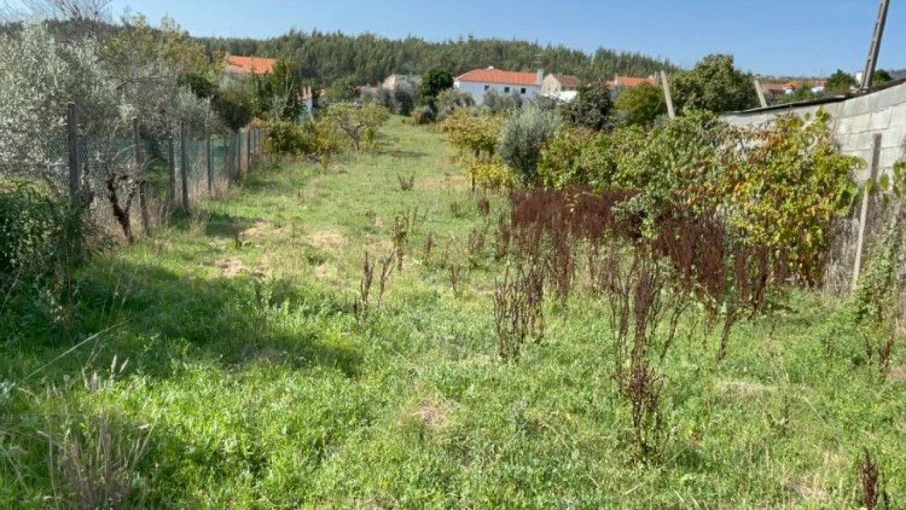 Terreno P/ Moradia para Venda em Vila Facaia Foto 11