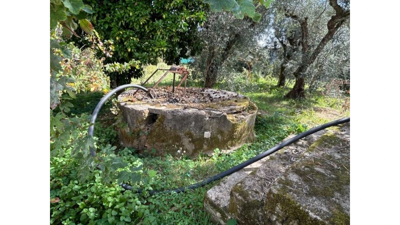 Terreno P/ Moradia para Venda em Vila Facaia Foto 7