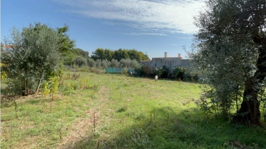 Terreno P/ Moradia para Venda em Vila Facaia Foto 5