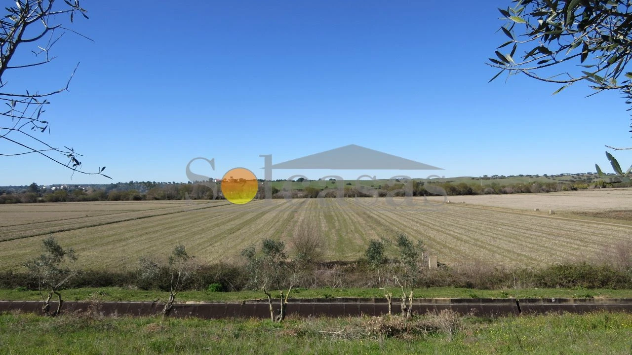 Prédio para Venda em Santa Catarina Foto 6