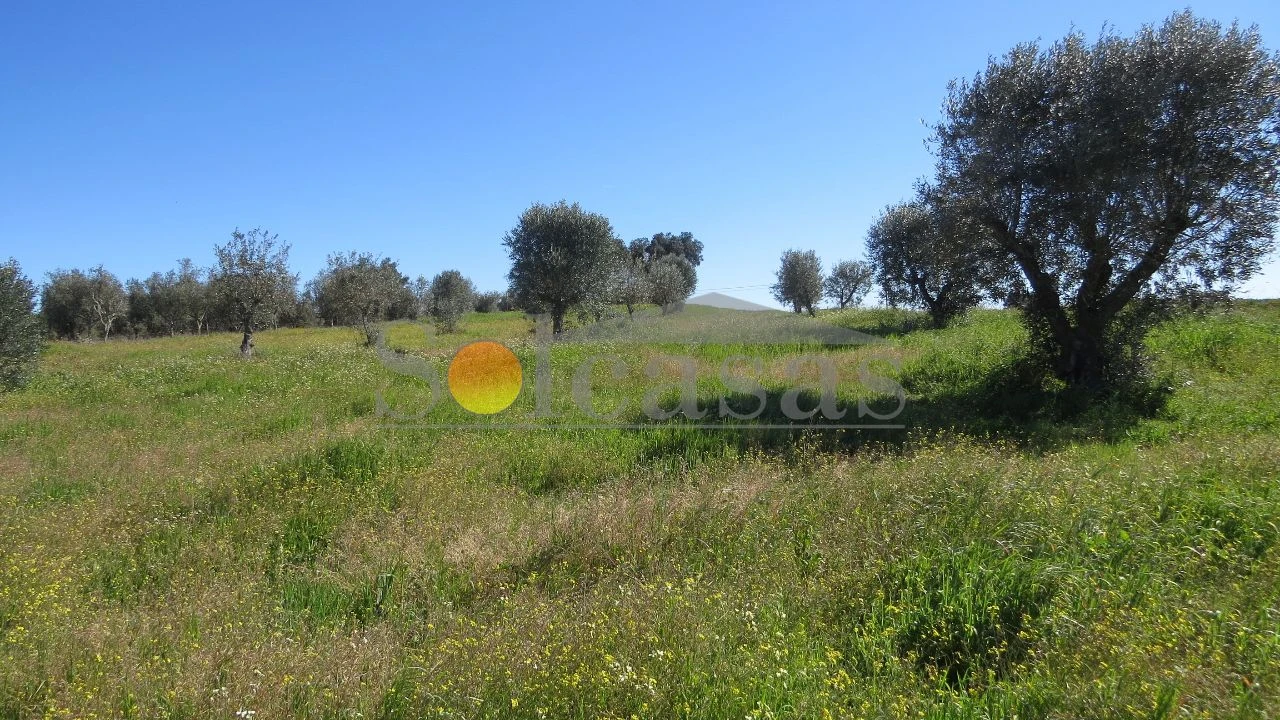 Prédio para Venda em Santa Catarina Foto 9