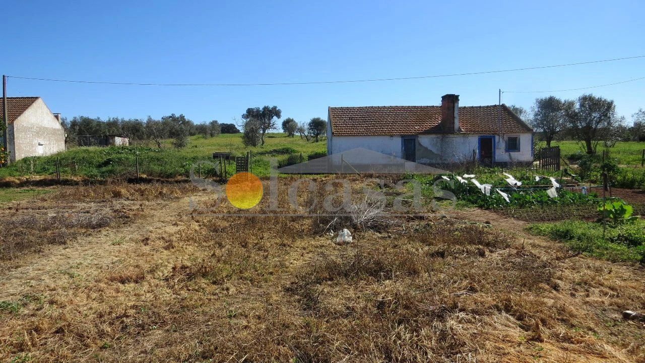Prédio para Venda em Santa Catarina Foto 10
