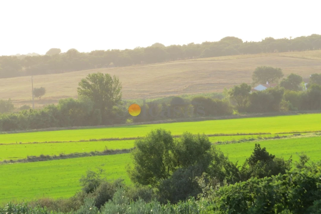 Prédio para Venda em Santa Catarina Foto 24