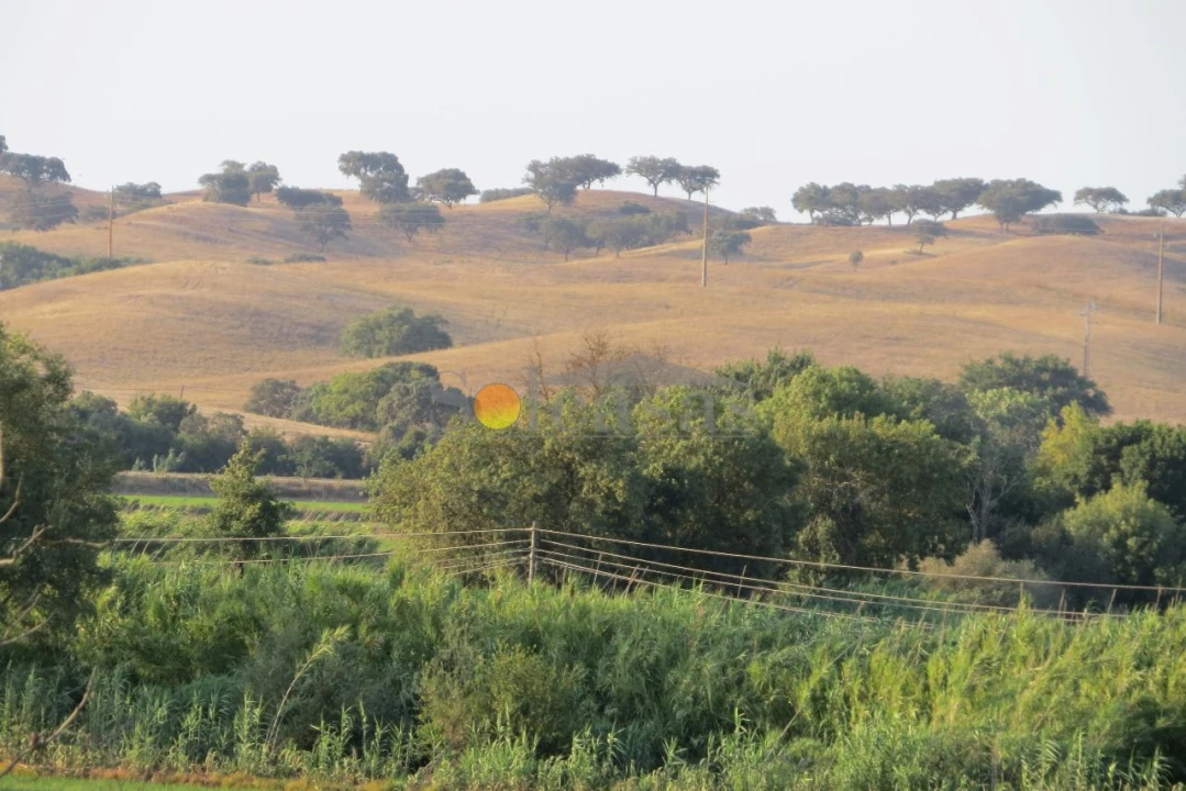 Prédio para Venda em Santa Catarina Foto 25