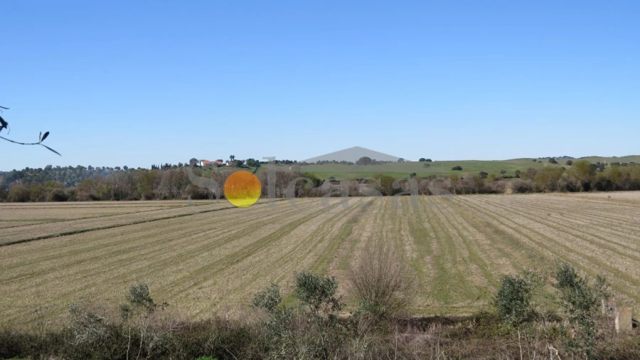 Prédio para Venda em Santa Catarina Foto 4