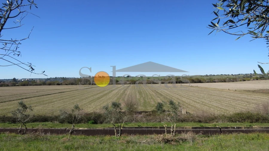 Prédio para Venda em Santa Catarina Foto 6