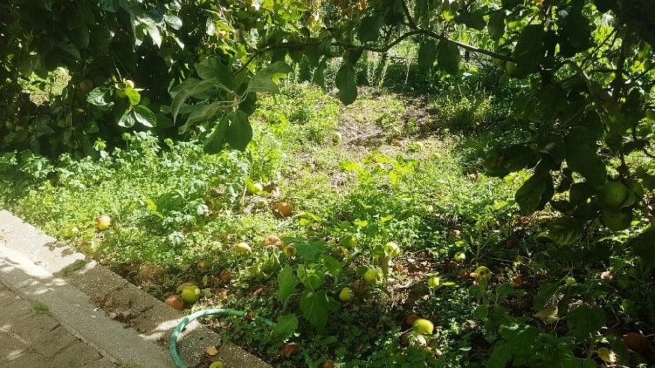 Moradia T3 para Venda em Derreada Cimeira Foto 36