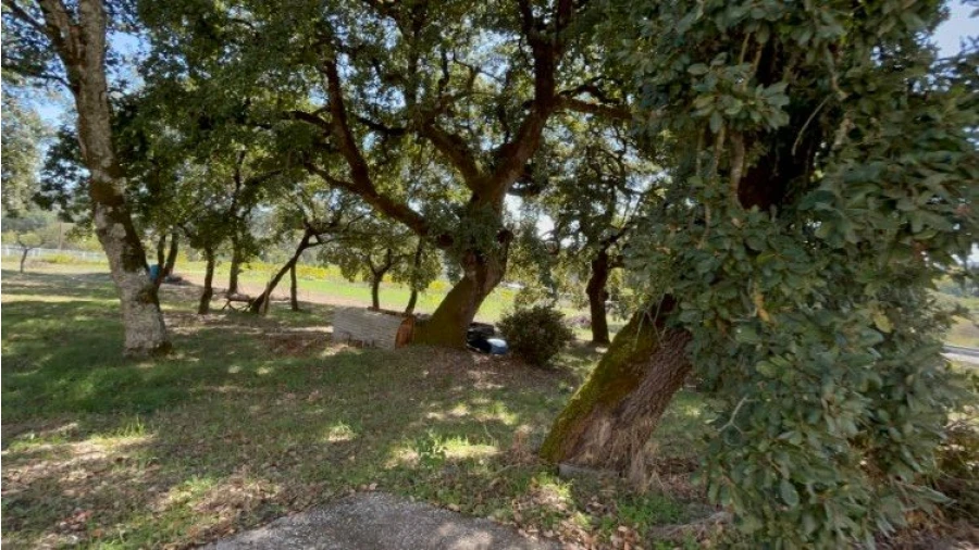 Moradia T4 para Venda em Avelar Foto 42