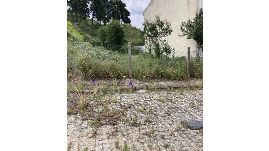 Terreno P/ Moradia para Venda em Valbom Foto 5