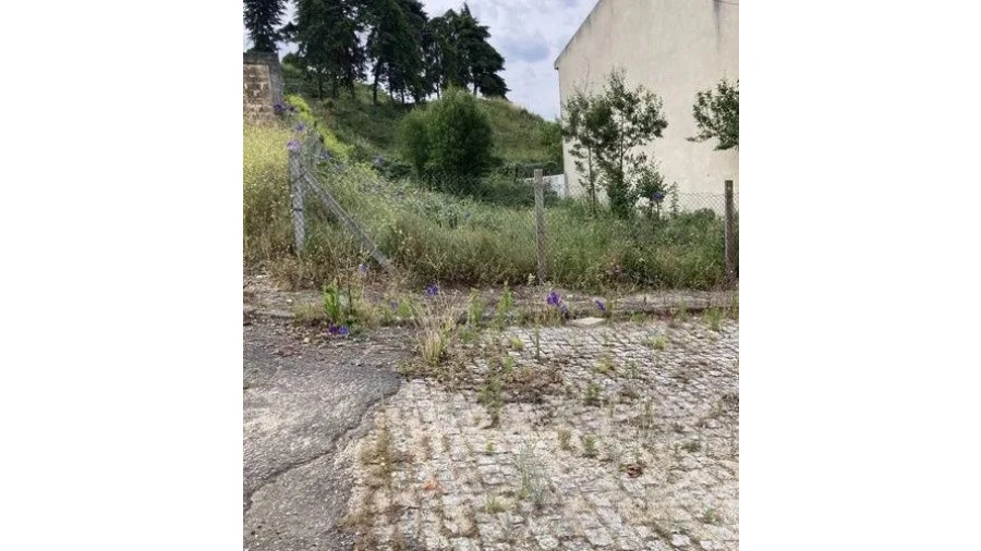 Terreno P/ Moradia para Venda em Valbom Foto 6