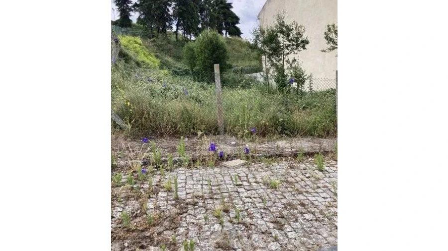 Terreno P/ Moradia para Venda em Valbom Foto 7