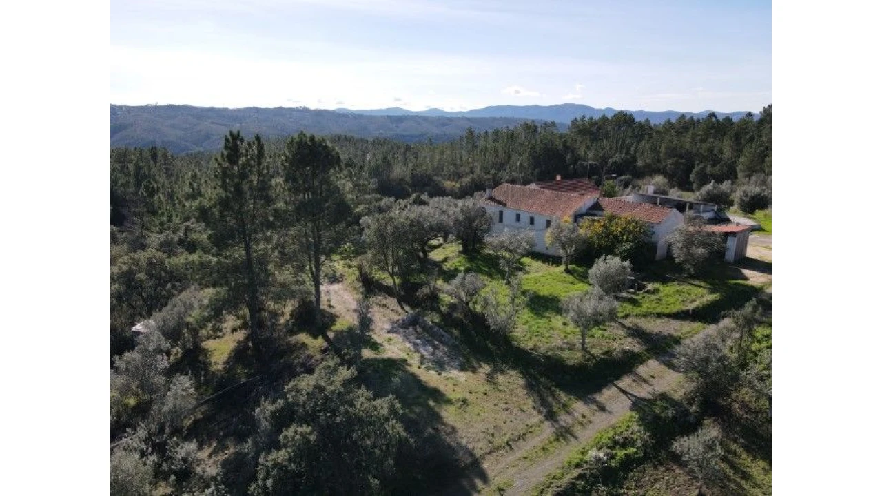 Quinta T4 para Venda em Sertã Foto 1