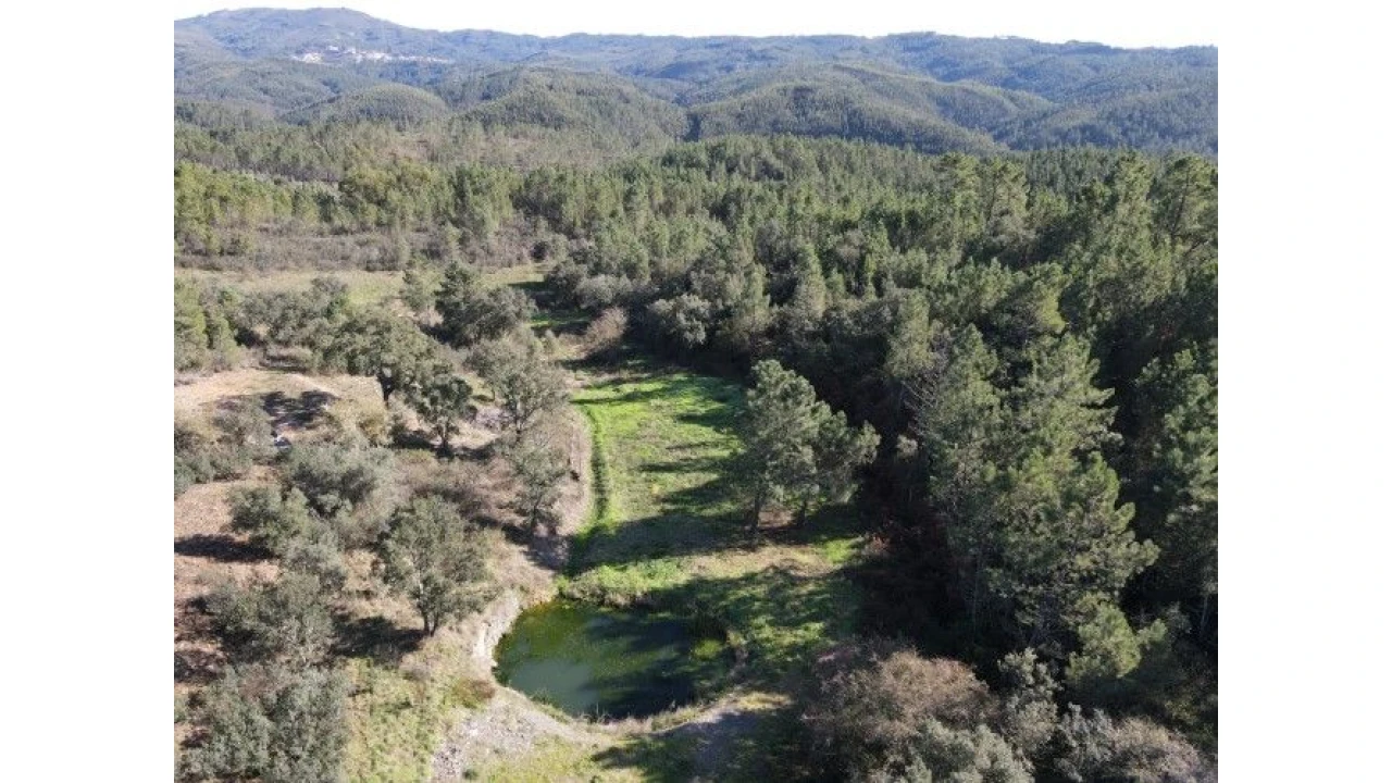 Quinta T4 para Venda em Sertã Foto 7