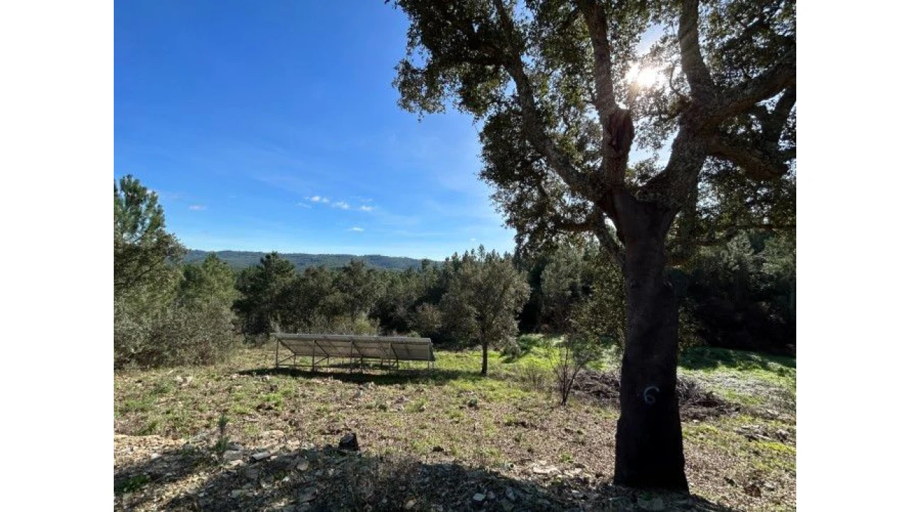 Quinta T4 para Venda em Sertã Foto 10