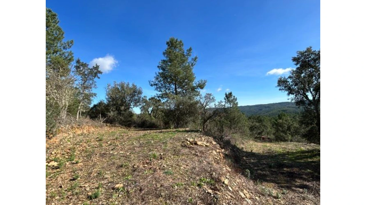 Quinta T4 para Venda em Sertã Foto 9