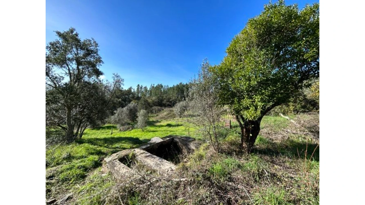 Quinta T4 para Venda em Sertã Foto 49