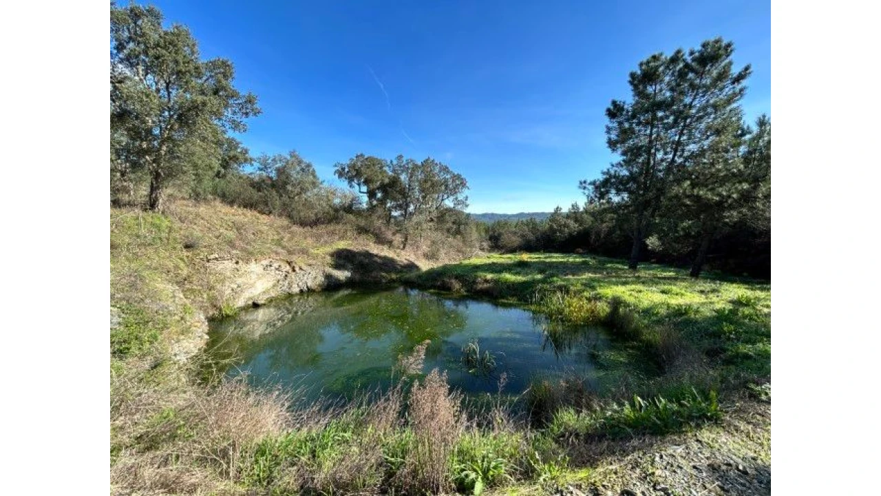 Quinta T4 para Venda em Sertã Foto 47