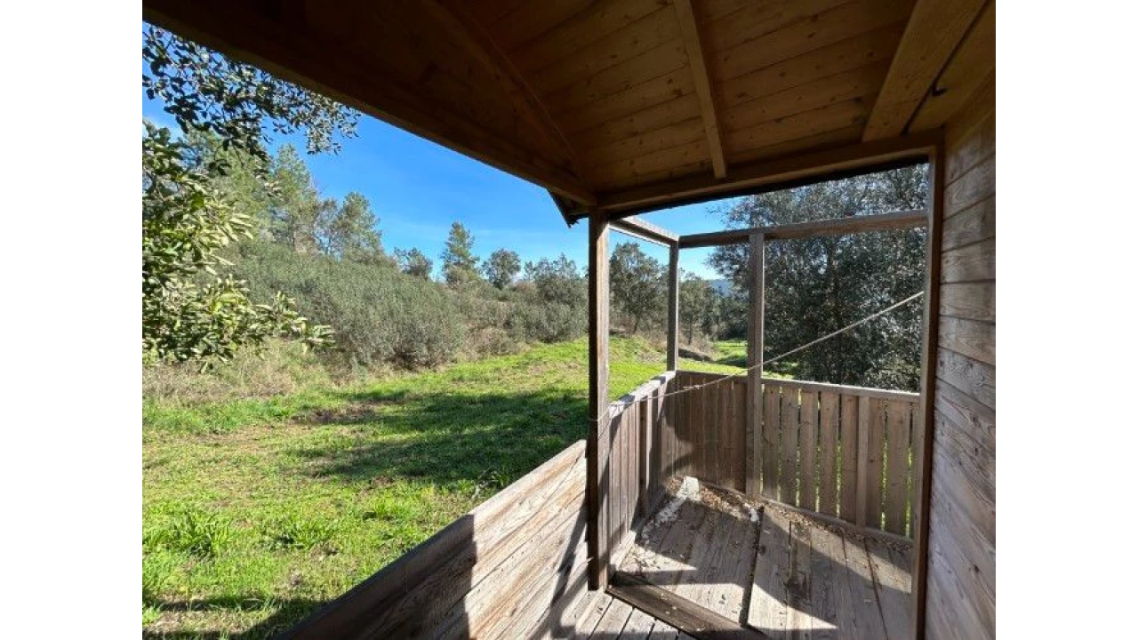 Quinta T4 para Venda em Sertã Foto 45