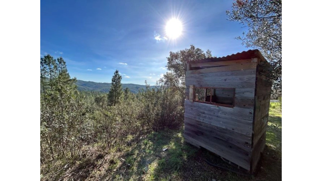 Quinta T4 para Venda em Sertã Foto 62