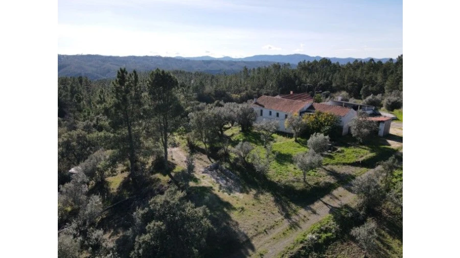 Quinta T4 para Venda em Sertã