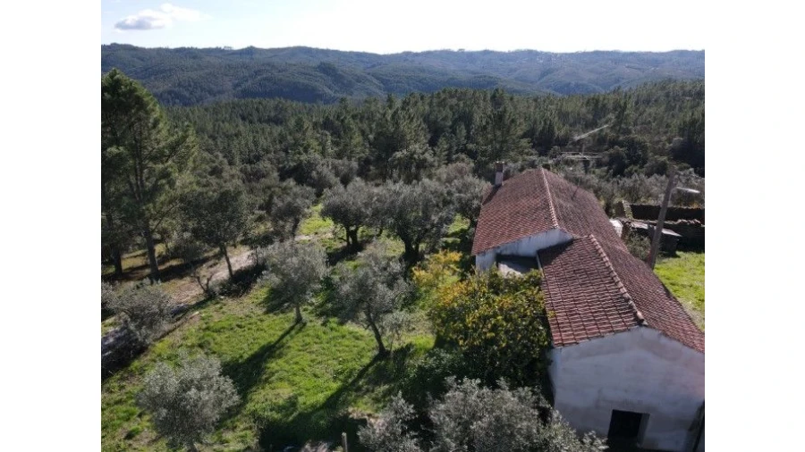 Quinta T4 para Venda em Sertã Foto 2