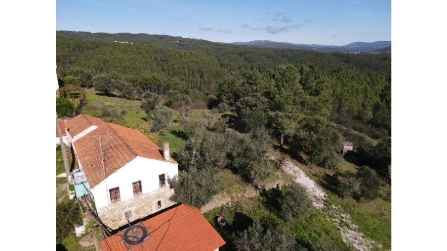 Quinta T4 para Venda em Sertã Foto 4