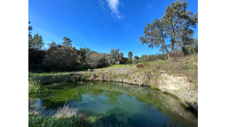 Quinta T4 para Venda em Sertã Foto 8