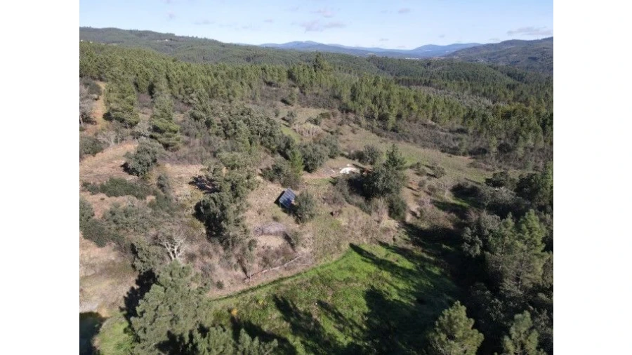 Quinta T4 para Venda em Sertã Foto 6