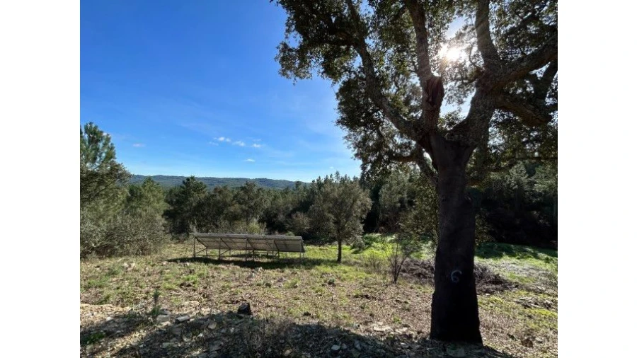 Quinta T4 para Venda em Sertã Foto 10