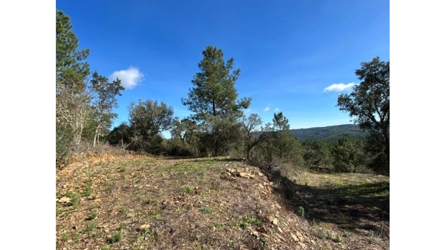 Quinta T4 para Venda em Sertã Foto 9