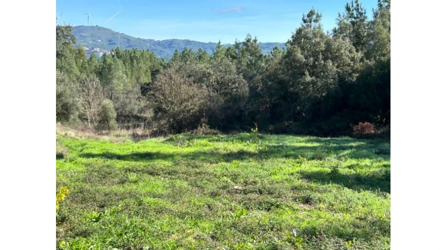 Quinta T4 para Venda em Sertã Foto 41