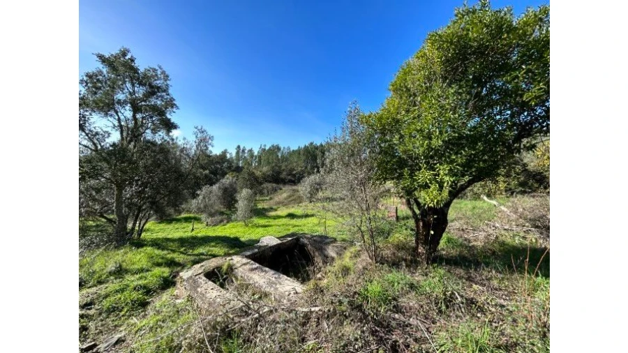 Quinta T4 para Venda em Sertã Foto 49