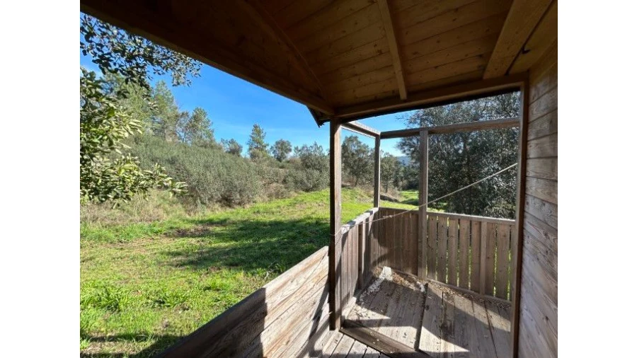 Quinta T4 para Venda em Sertã Foto 45