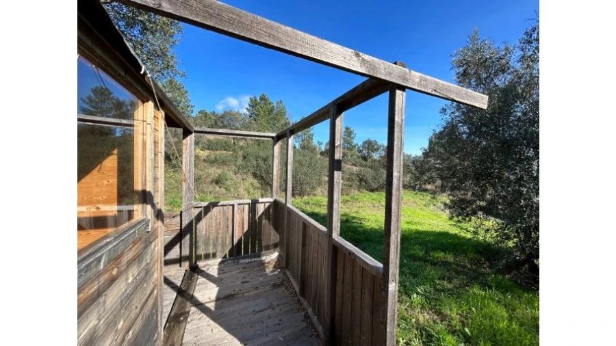 Quinta T4 para Venda em Sertã Foto 48