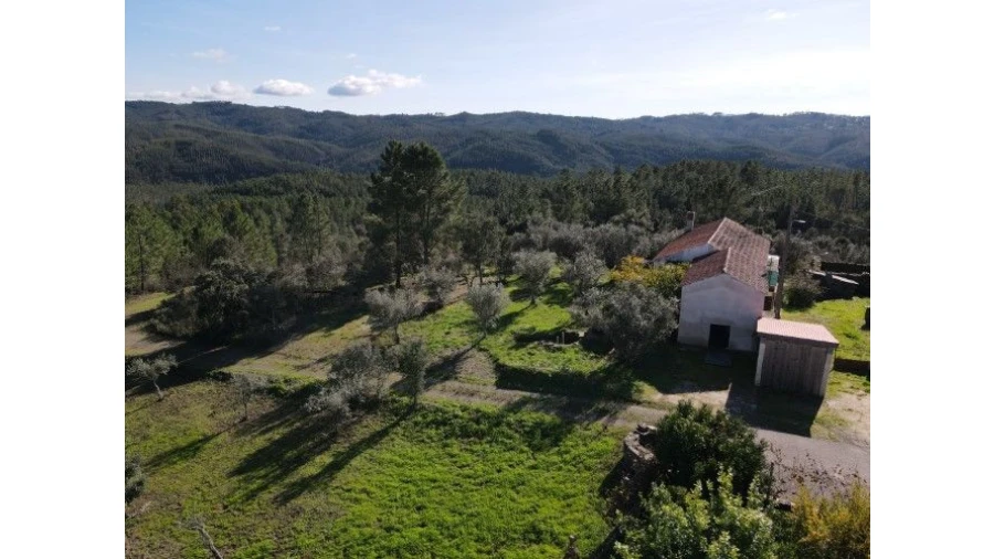 Quinta T4 para Venda em Sertã Foto 64