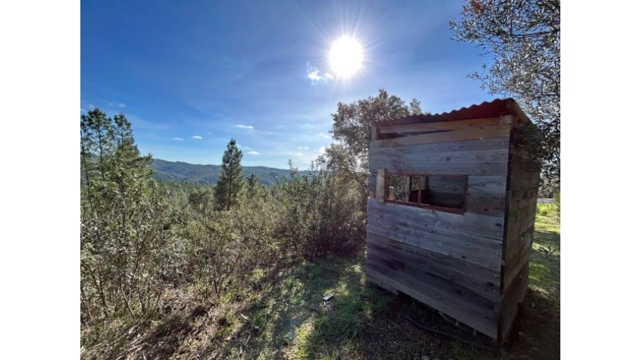 Quinta T4 para Venda em Sertã Foto 62