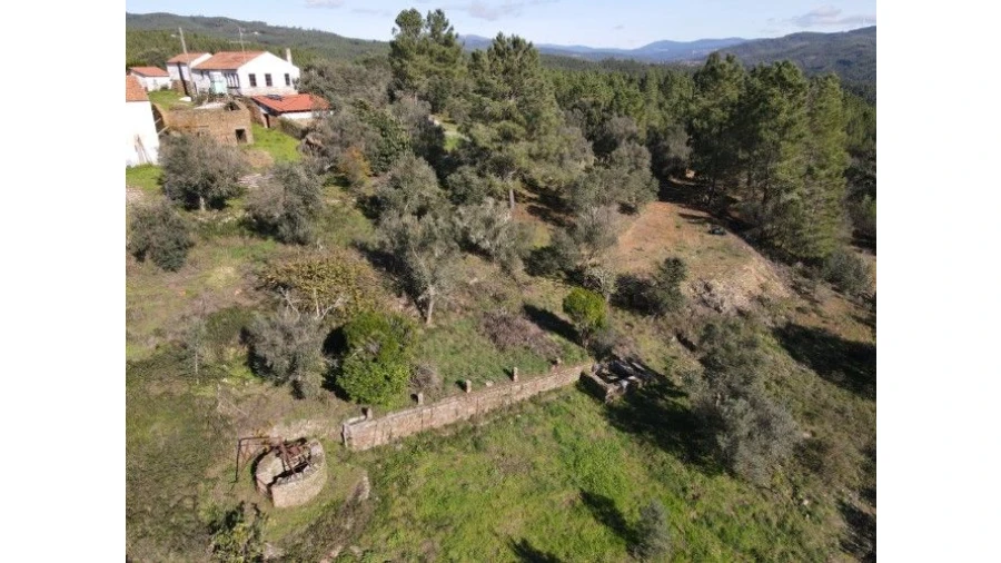 Quinta T4 para Venda em Sertã Foto 67