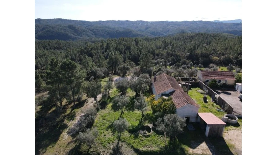 Quinta T4 para Venda em Sertã Foto 66