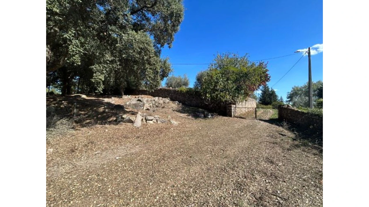 Terreno para Venda em Pedrógão Grande Foto 16