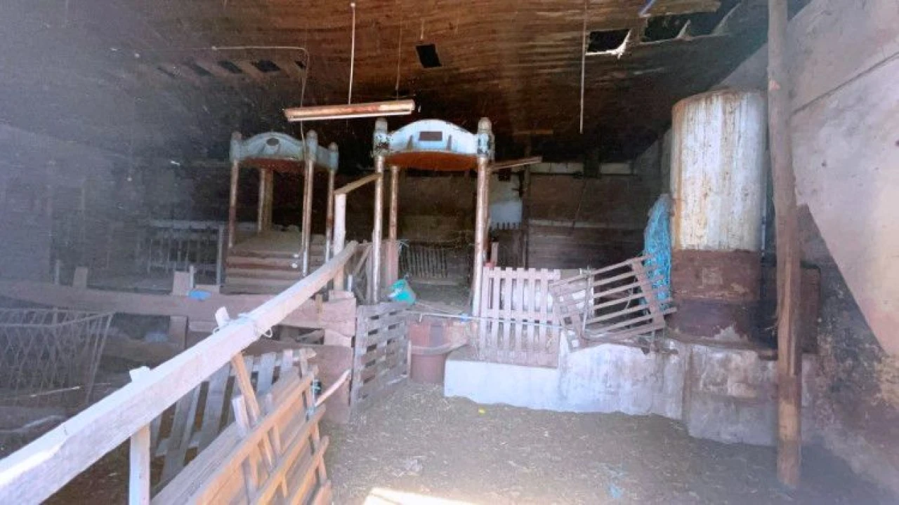 Terreno para Venda em Pedrógão Grande Foto 9