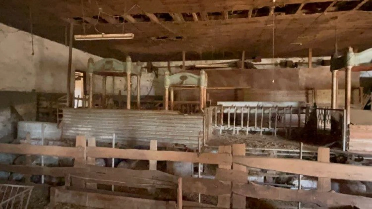 Terreno para Venda em Pedrógão Grande Foto 11